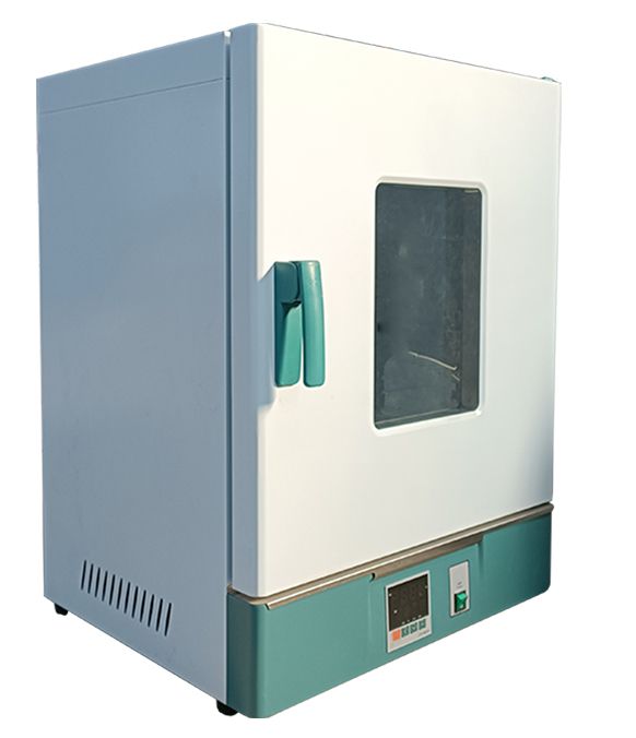 立式鼓风干燥箱