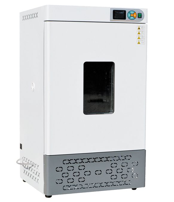 霉菌培养箱（无加湿）